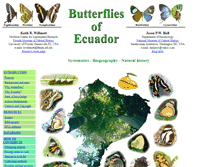 Tablet Screenshot of butterfliesofecuador.com